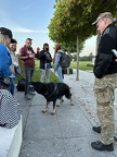 IMG 3683
